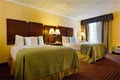 Holiday Inn Hotel Corpus Christi Arpt & Conv Ctr image 3