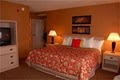 Holiday Inn Hotel & Suites Bolingbrook image 3