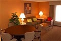 Holiday Inn Hotel & Suites Bolingbrook image 4