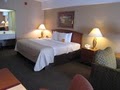 Holiday Inn Rapid City-Rushmore Plaza Hotel image 3