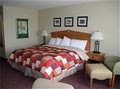 Holiday Inn image 6