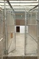 Holiday Kennels image 2