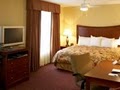 Homewood Suites Champaign   Urbana image 7