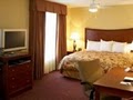 Homewood Suites Champaign   Urbana image 10