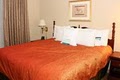 Homewood Suites by Hilton Charlotte-Airport/Coliseum image 3