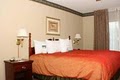 Homewood Suites by Hilton Charlotte-Airport/Coliseum image 7