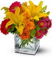 House of Arnold Florist  Flower Arrangements image 3