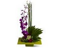 House of Arnold Florist  Flower Arrangements image 9