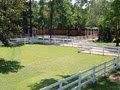 Houston Dog Ranch image 2