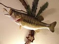 Hunt-N-Fishen Taxidermy image 3
