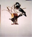 Hunt-N-Fishen Taxidermy image 4
