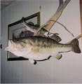 Hunt-N-Fishen Taxidermy image 1