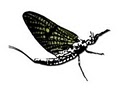 Idaho Fly Company logo