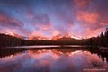Images of Rocky Mountain National Park - Gallery image 8
