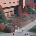 Indiana University-Purdue University Fort Wayne logo