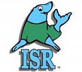 Infant Swimming Resource - Amy Leigh Koesters, Certified Instructor logo