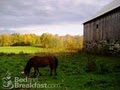 Inn at Buck Hollow Farm image 6