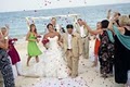 J Cogliandro Photography -  Wedding Photographer image 5