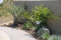JCMS Landscaping-San Diego image 3