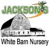 Jackson's White Barn Nursery logo