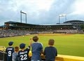 Jacksonville Suns Baseball Clb logo