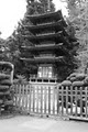Japanese Tea Garden image 7