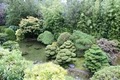 Japanese Tea Garden image 8