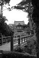 Japanese Tea Garden image 10