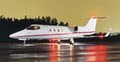 Jet Charter Naples image 1