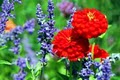 Jewells Prairie Nursery image 5