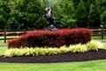 Jordan's Landscaping & Lawn image 3