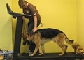K9 Camp: Obedience Training, Lodging & Grooming image 8