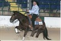 Karr Reining Horses logo