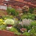 Knollwood Garden Center and Landscaping image 3