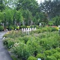 Knollwood Garden Center and Landscaping image 4