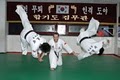Koguryo Martial Arts Academy image 3