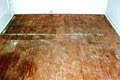 Kokoszka's Carpet Cleaning, Rug & Upholstery image 6