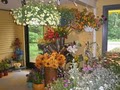 Lake Effect Florals image 3