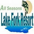 Lake Fork Resort image 5