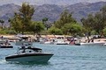 Lake Havasu State Park image 3