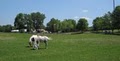 Lazy H Ranch of Kansas City image 2