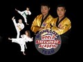 Lee's World Taekwondo Academy St. Paul logo