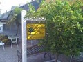 Lemon Tree image 3