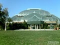 Lincoln Park Conservatory image 2