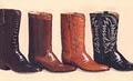 Little's Boots image 3