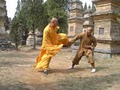 Liu Institute International Shaolin image 5