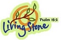 Living Stone/Owner Chris Agee logo