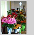 Liza's Flowers Inc image 3