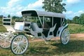 Lollypop Carriage Co., Inc. image 10