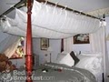 Lonesome Dove Bed & Breakfast image 2